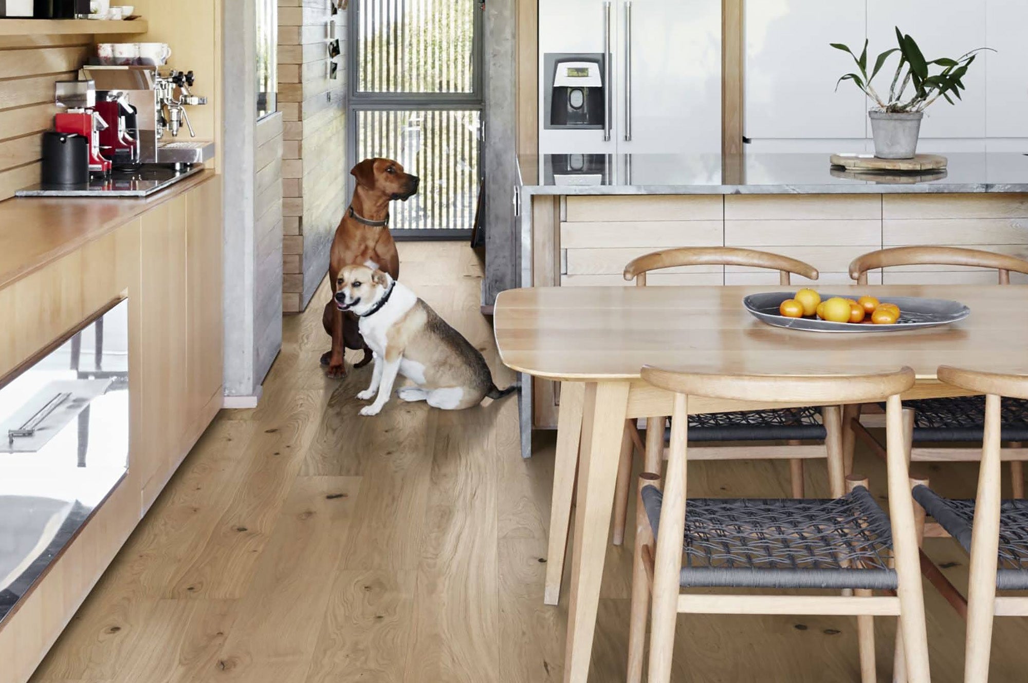 Parkett Landhausdiele Eiche Country cremeweiss matt lackiert