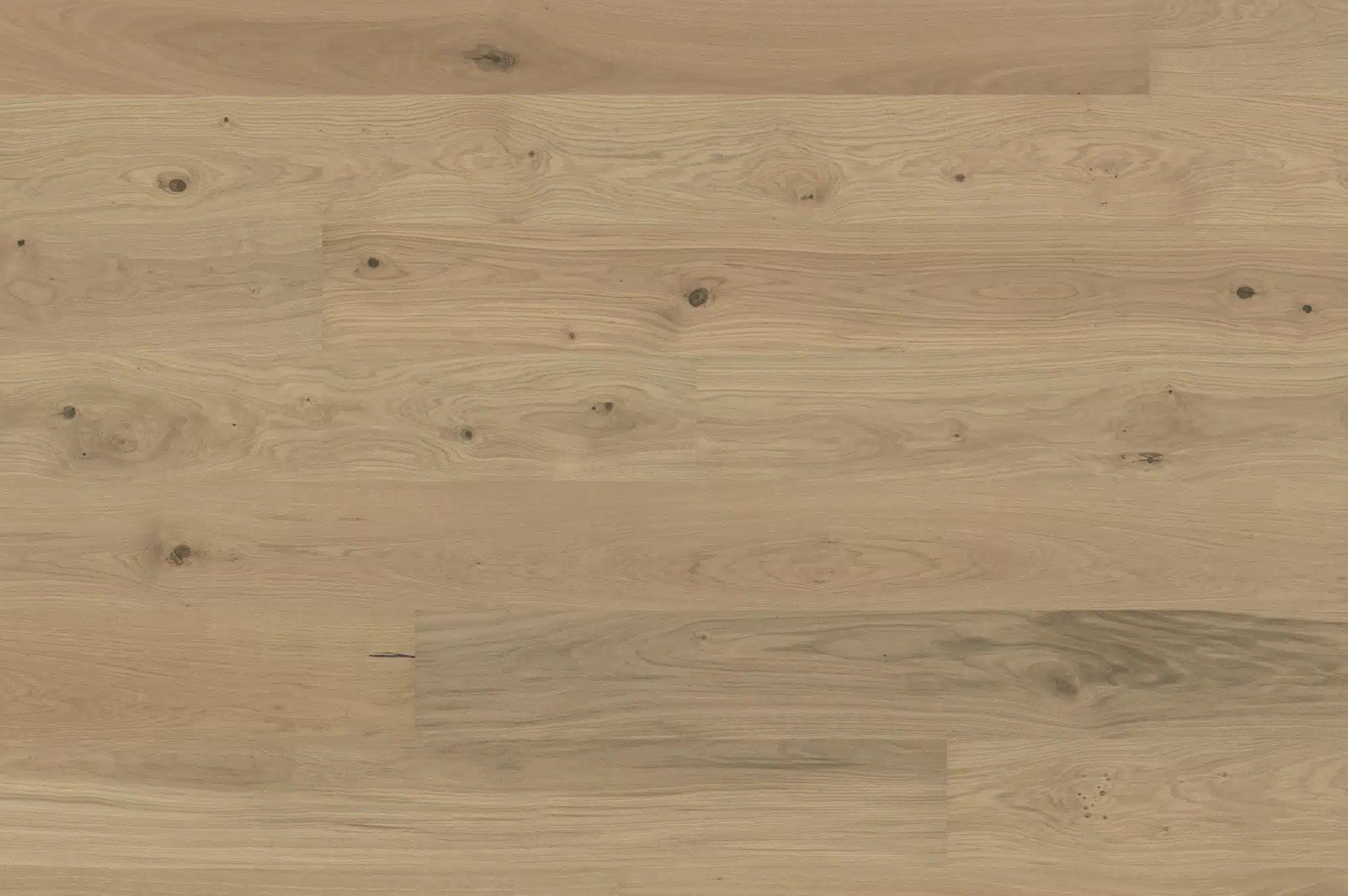 Parkett Landhausdiele Eiche Country cremeweiss matt lackiert