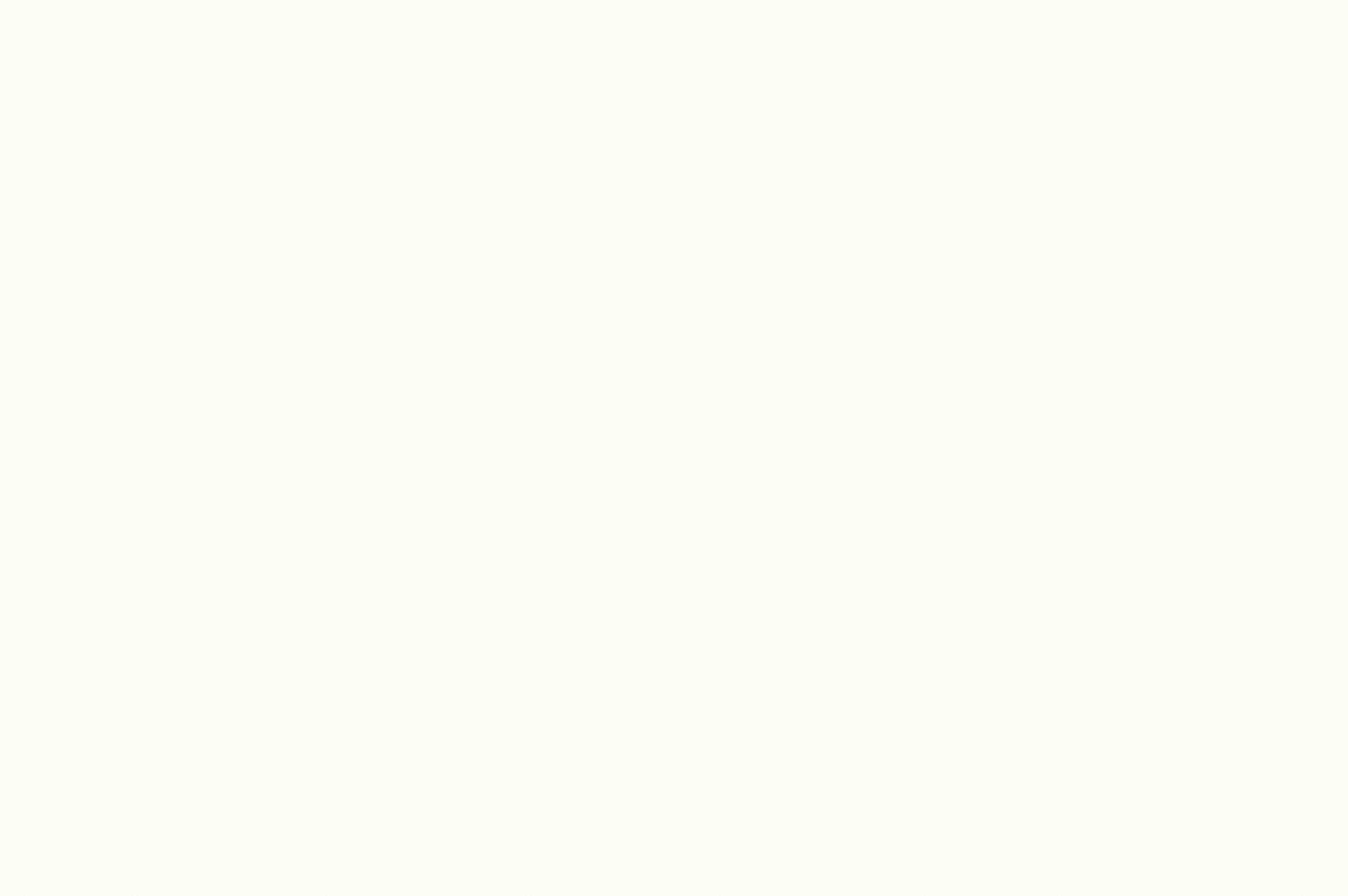 Designplatte uni weiss matt Antifingerprint